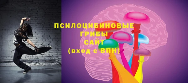 спиды Ветлуга