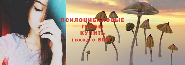 винт Нязепетровск