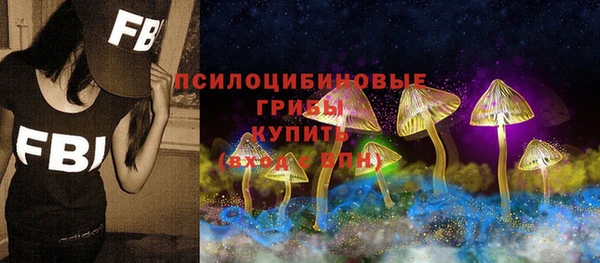 стафф Нягань