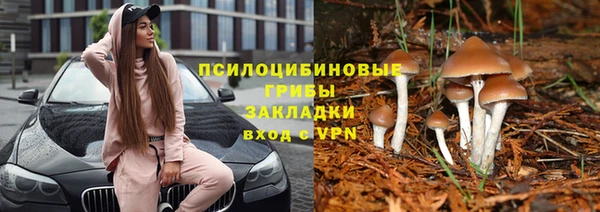 винт Нязепетровск