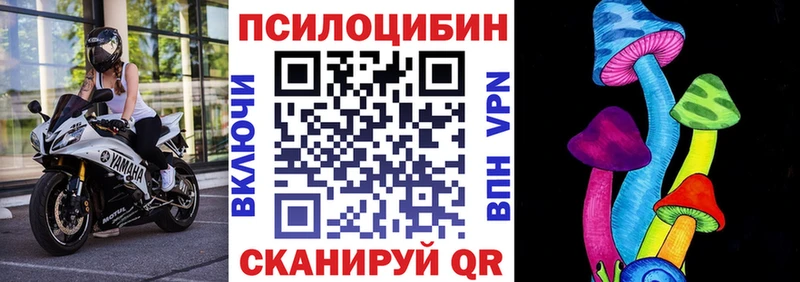 OMG рабочий сайт  Киржач  Псилоцибиновые грибы мицелий 