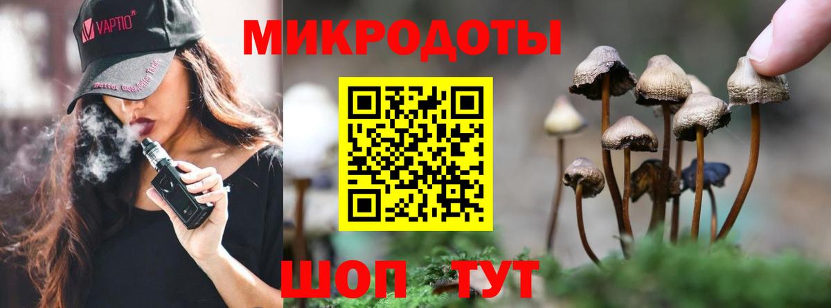 Киржач  Галлюциногенные грибы прущие грибы  Вход с VPN 